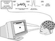 Functional principle of a BCI system